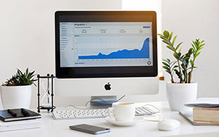 半岛体育官方网站：开启你的专属体育新纪元